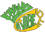 Catch A +Vibe Logo